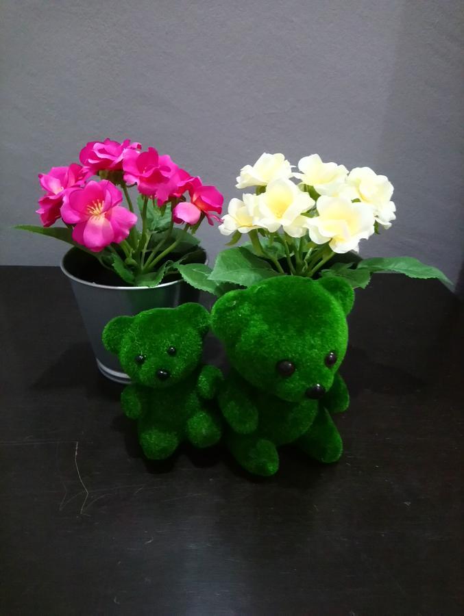 Jb Homestay Bukit Indah Wifi Ciq Mall Legoland Free Parking ยะโฮร์บาห์รู ภายนอก รูปภาพ